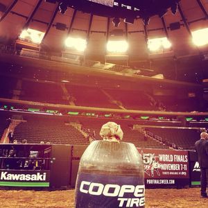 Meet your Posher, Raymond